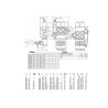 Rozdzielacz P40 2-sekcyjny elektryczny 12V DC